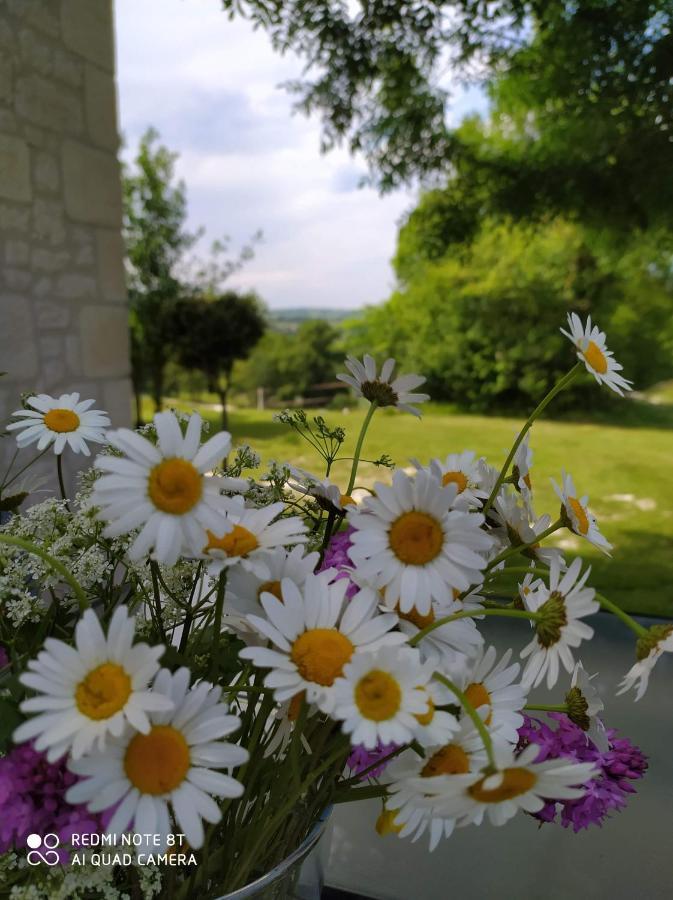 Gite La Roche Le Boulvé Extérieur photo